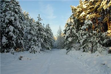 《使命召唤18》首批截图 中文官网公布海量细节