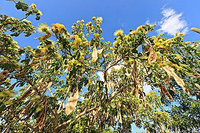 《战神5：诸神黄昏》将有不同的盾牌 每个有不同能力