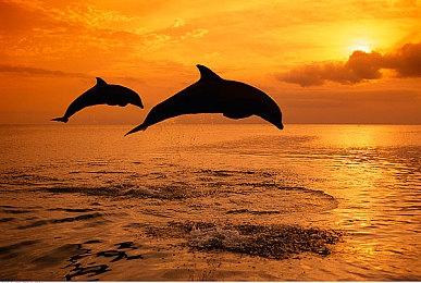 《席德·梅尔的文明® VII》将于 2025 年 2 月 11 日在全球发布